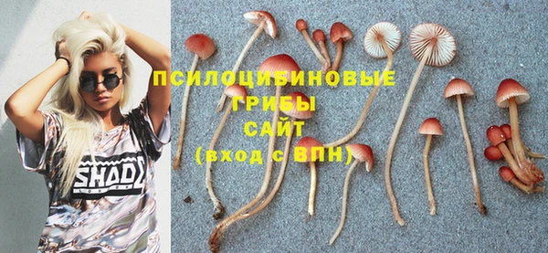 амф Лихославль